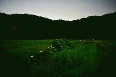 DSC_2895A.jpg
